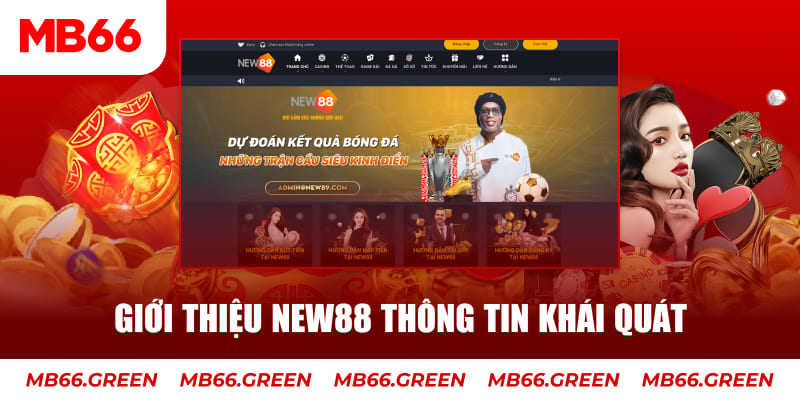789win1 c1 gà chọi