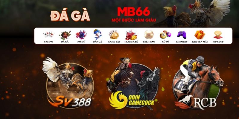 789win1 what is casino bonus wagering