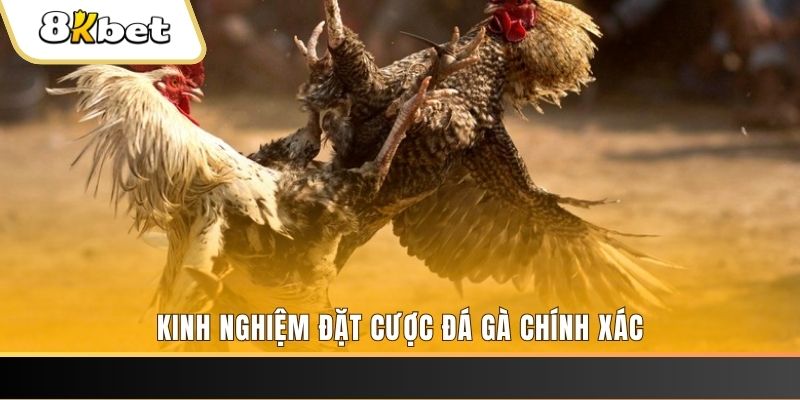 789win1 xổ số thứ bảy hàng tuần