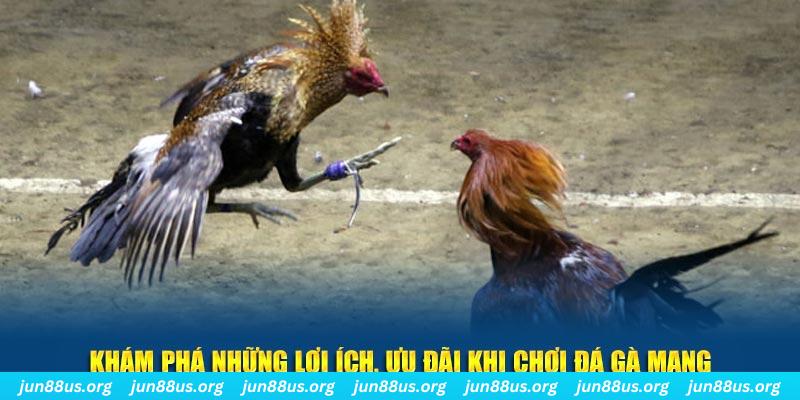 789win1 đăng nhập liêng live