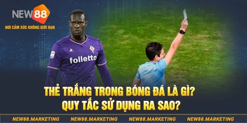 789win1 đăng nhập sòng bạc hôm nay