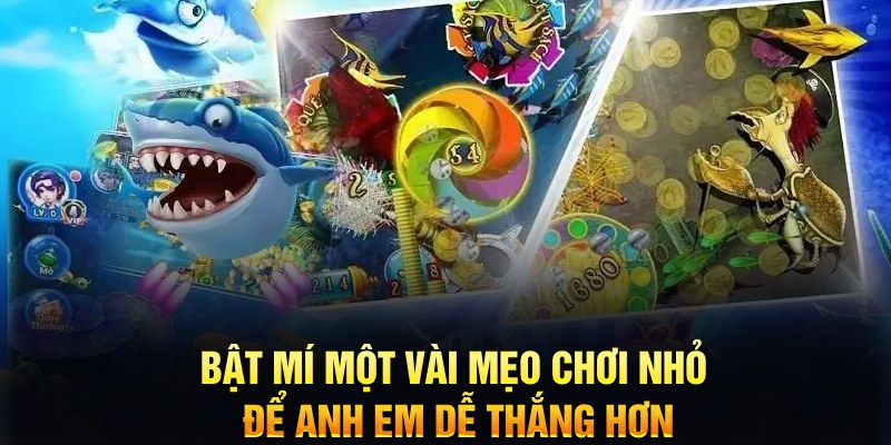 789win1 xổ số thứ ba