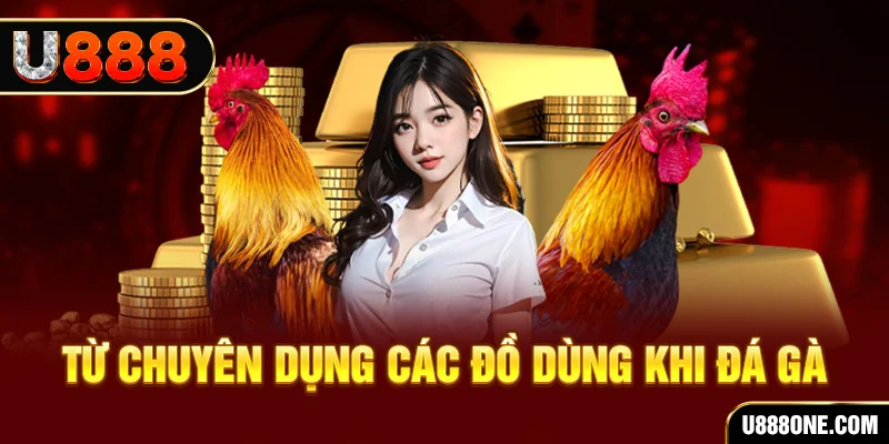 789win1 đá gà trực tiếp campuchia